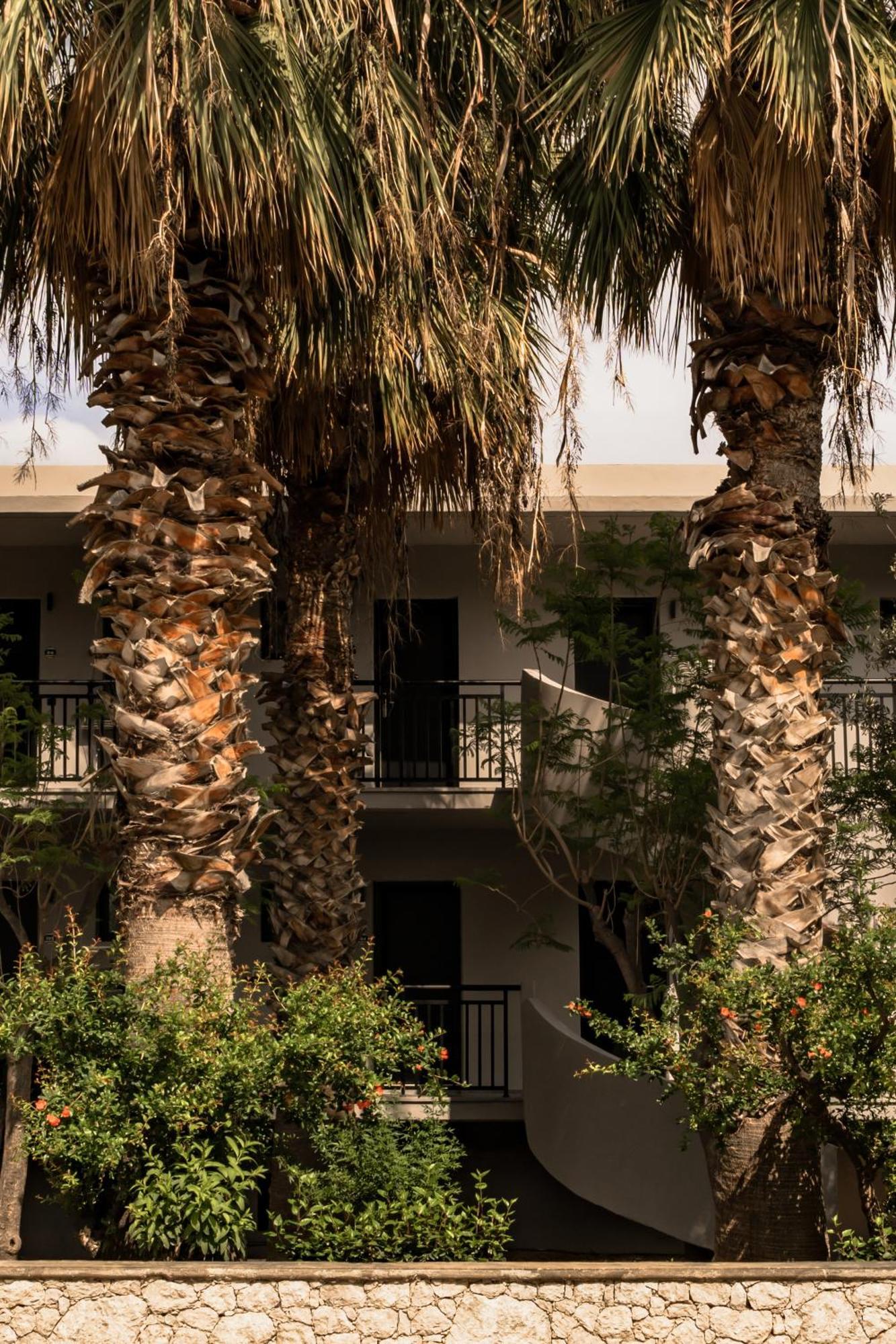 Hotel Cook'S Club Kolymbia Rhodes -Adults Only Exterior foto